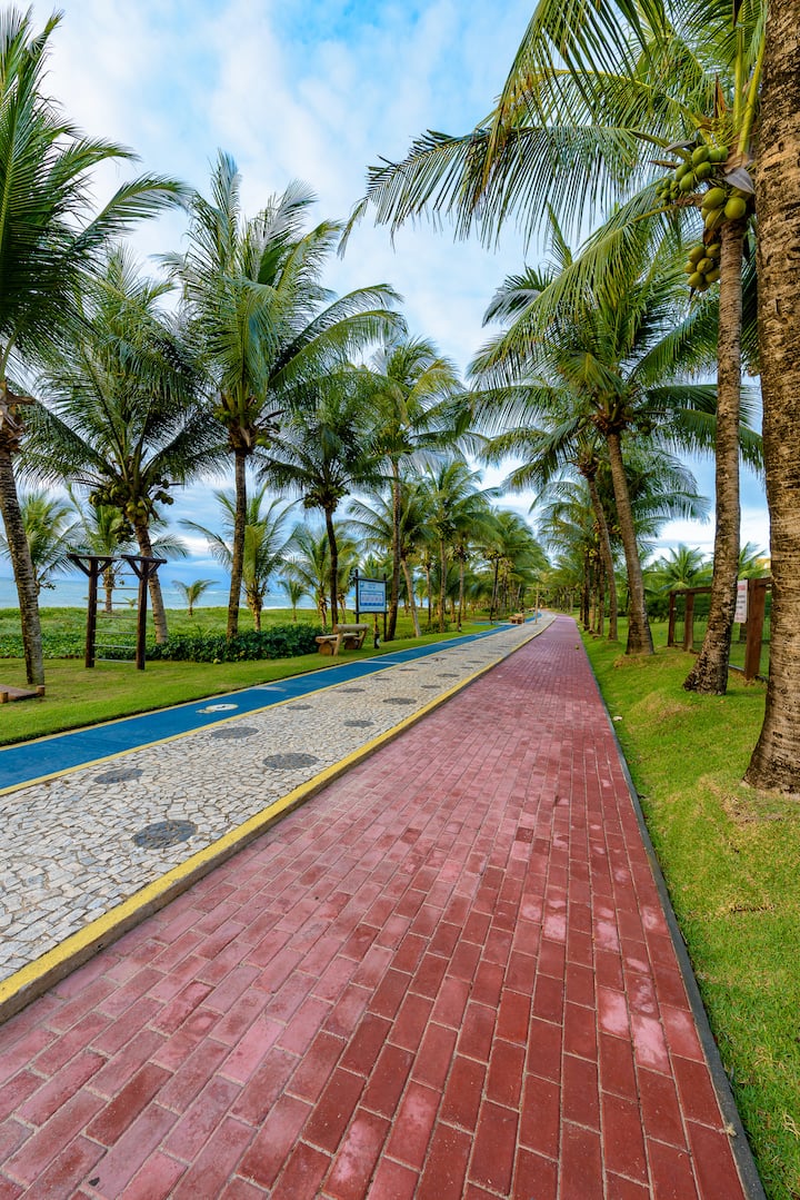 Calçadão de coqueiros à beira-mar